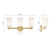 3 - Light Dimmable Vanity Light