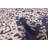 Elysian Navy Rug 5'0" x 8'0"