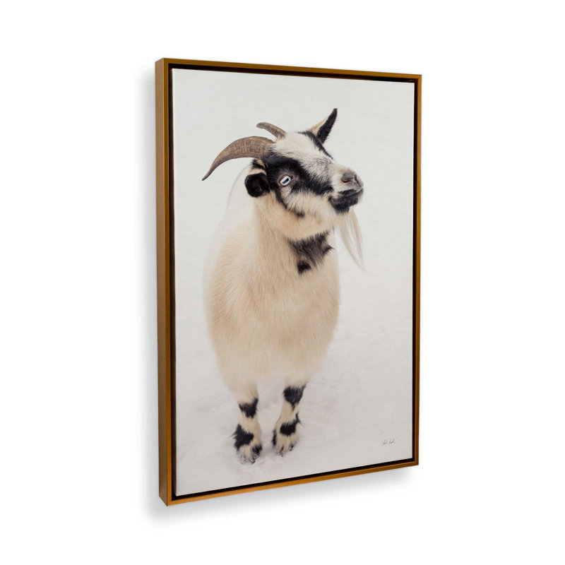 «Two Little Goats I» par Deborah Revell, reproduction d'art sur toile, H 18 po x l 12 po, Cadre flottant, Doré