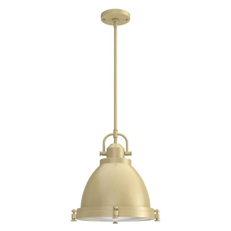 Bridgemoor Modern Brass 2-Light Industrial Pendant with Clear Glass