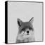Foxy Surprise II - Drawing on Canvas-1635420363
