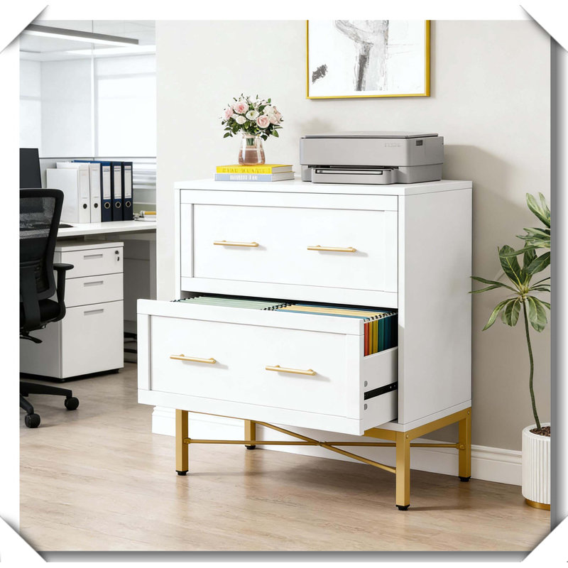 Office File Cabinet 2-Drawer Durable Storage Steel Frame Design, Gold,White