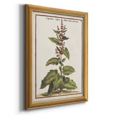 " Munting Botanicals IV " Painting Print