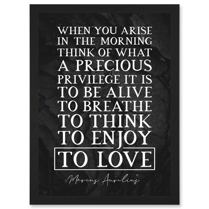 Marcus Aurelius Morning Precious Privilege To Be Alive Breathe Think Enjoy Love Inspiring - Single Picture Frame Print