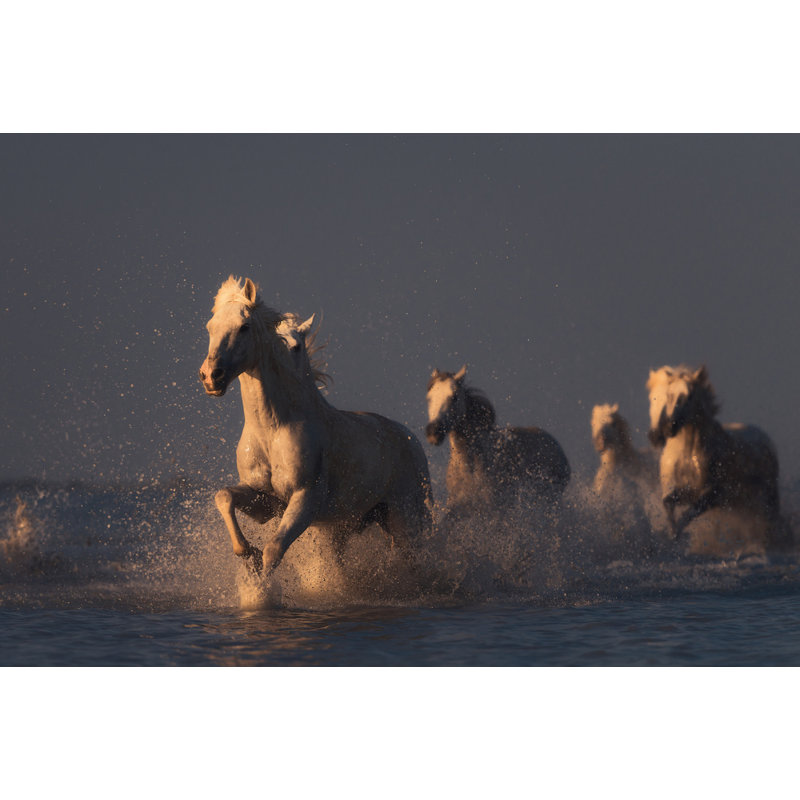Wrapped Canvas Print, 50.8 cm H x 76.2 cm W