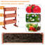 Brentin Wood Planter Box