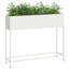 Elevated Planter-1551831184-1551831189
