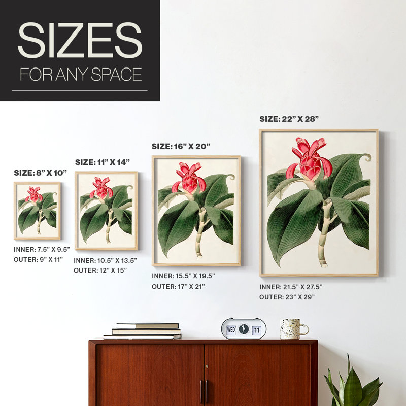 Impression encadrée FloraOf TheTropicsI-Premium - prête à être accrochée - aucun clou requis - aucun clou requis