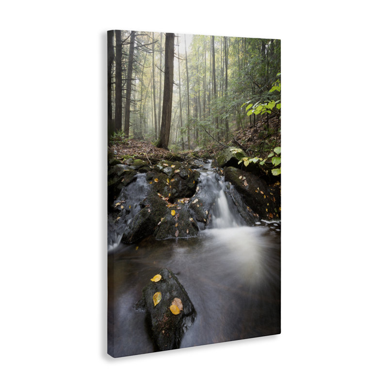 Misty Stream Adirondacks, conception de James Rodewald, H 45 po x l 30 po