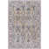 Infinity Oriental Indoor Rug