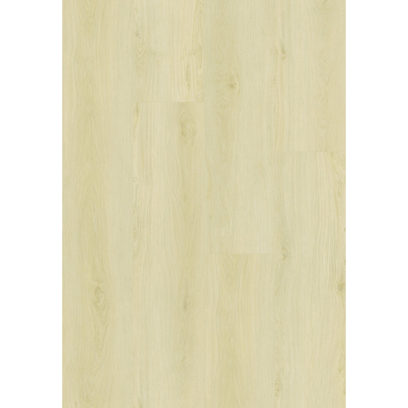 Plancher en vinyle Ecostyle SPC de 8 mm, noyau rigide imperméable, installation à verrouillage par clic, plancher aspect bois pour une utilisation à l'intérieur