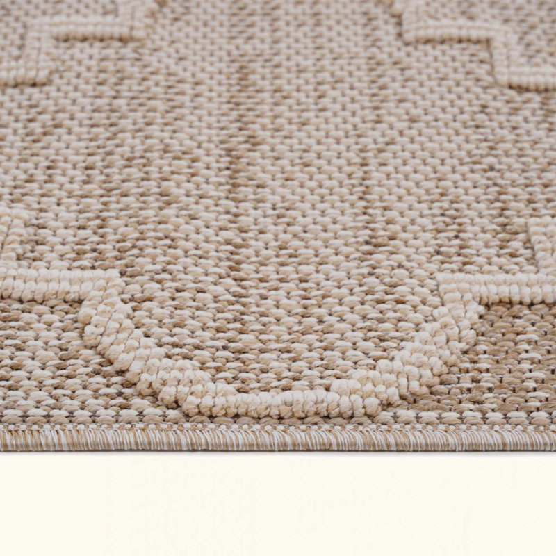Trellis Indoor/Outdoor Area Rug, Stain-Resistant And Non-Shedding For Versatile Use, Rectangle 7'9" x 10'