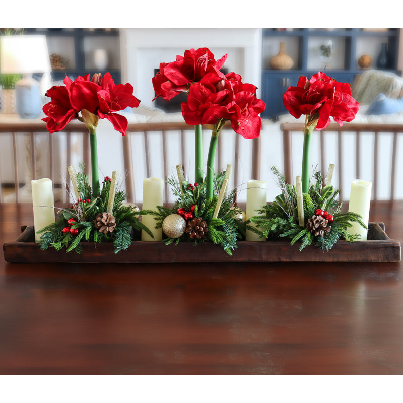 WHITE AMARYLLIS IN WOOD TRAY, Red