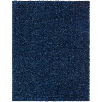 Tapis bleu Jeffrey Performance