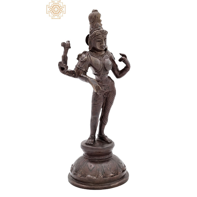 Statue Ardhanarishvara, Brun