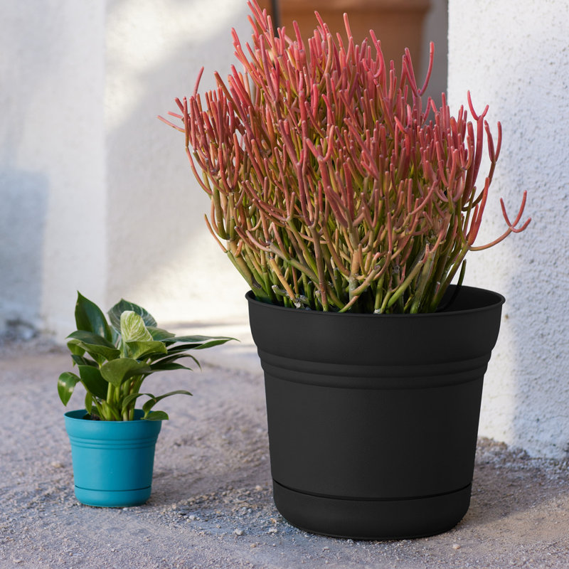 Saturn Traditional Plastic Indoor/Outdoor Round Planter with Saucer, Black, 12.75" H x 14.5" W x 14.5" D