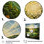 «Bright Shining Mandala In Paradise Landscape», reproduction sur toile-98205896-98205888