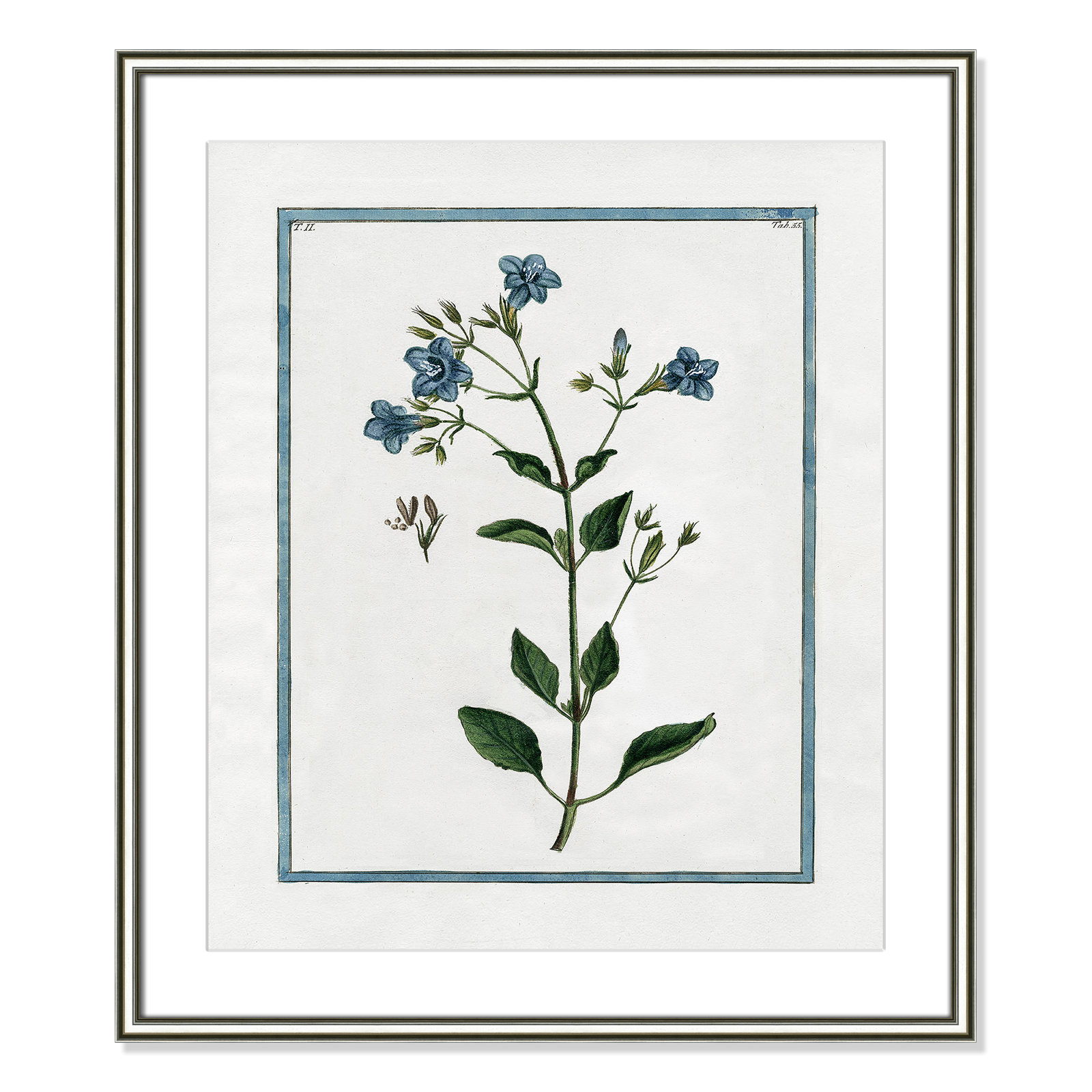 Shabby Elegance Botanical II - Framed Art, 22.75" W x 26.75" H, Silver Framed