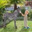 Statue foal zèbre à l’échelle grand-africains