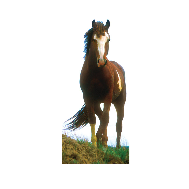 Life-Size Brown and White Mustang Horse Cardboard Standup