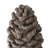 Set Of 2 Pinecone Table Decor, Small: D7x10.5", Large: D7x14"