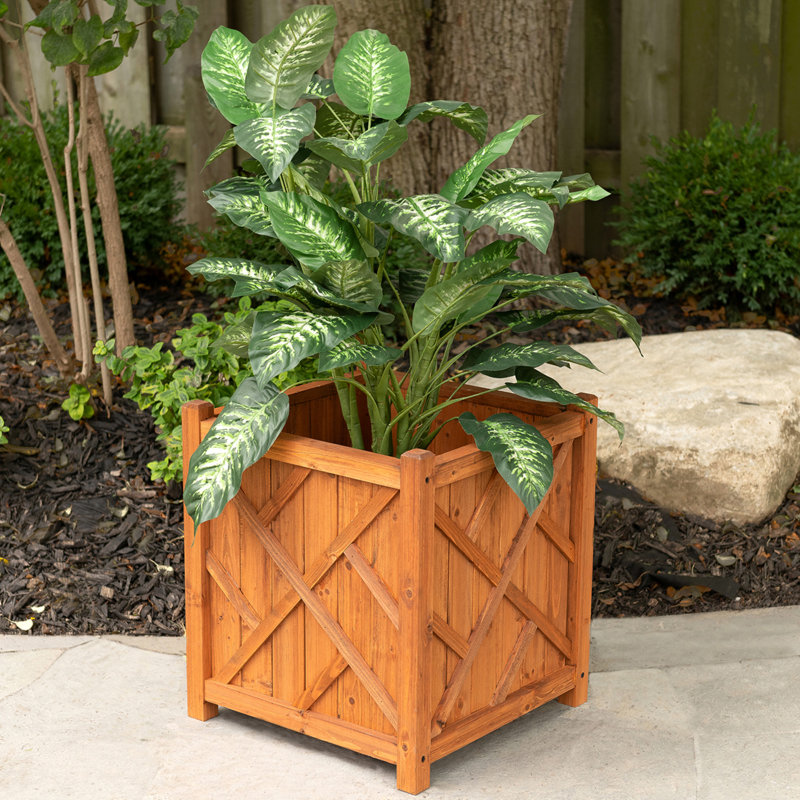 Boîte à fleurs cypress Decorative Planters