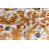 Tapis brun clair Lawnmont