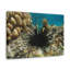 No Frame Print on Canvas-405850748