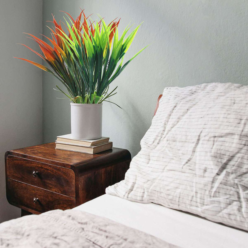 16,9 plante, Vert