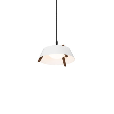 Casia 1 - Light LED Unique/Statement Pendant