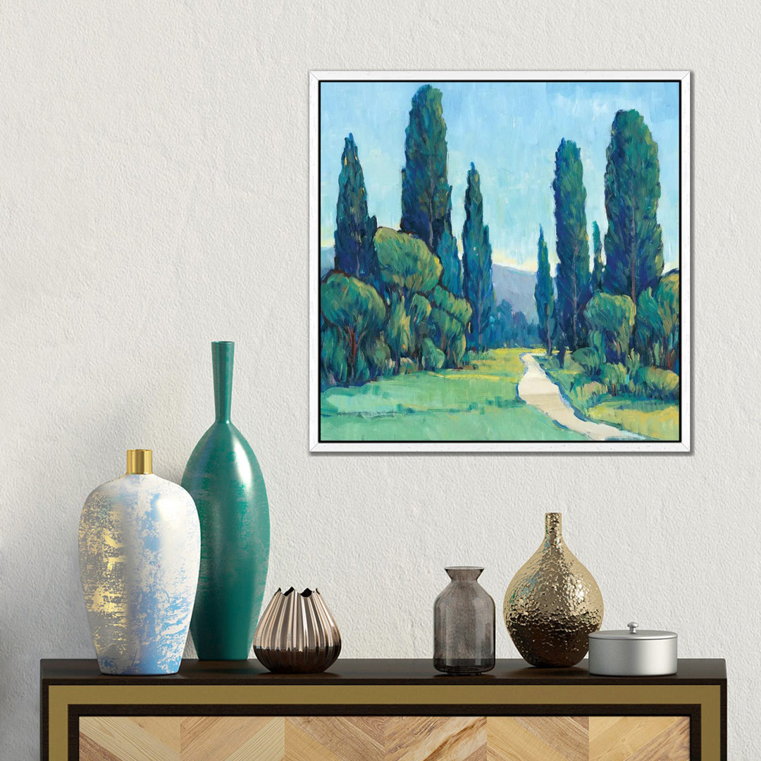 Cypress Path II von Tim OToole - Galerieverpackte Leinwand Giclée auf Leinwand