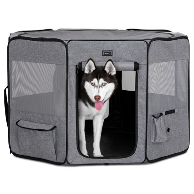 Caisse pour animaux amovible