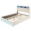 Upholstered Lift Up Storage Bed Frame with LED Lights and Charging Station, Platform Bed, No Box Spring Needed-118619653