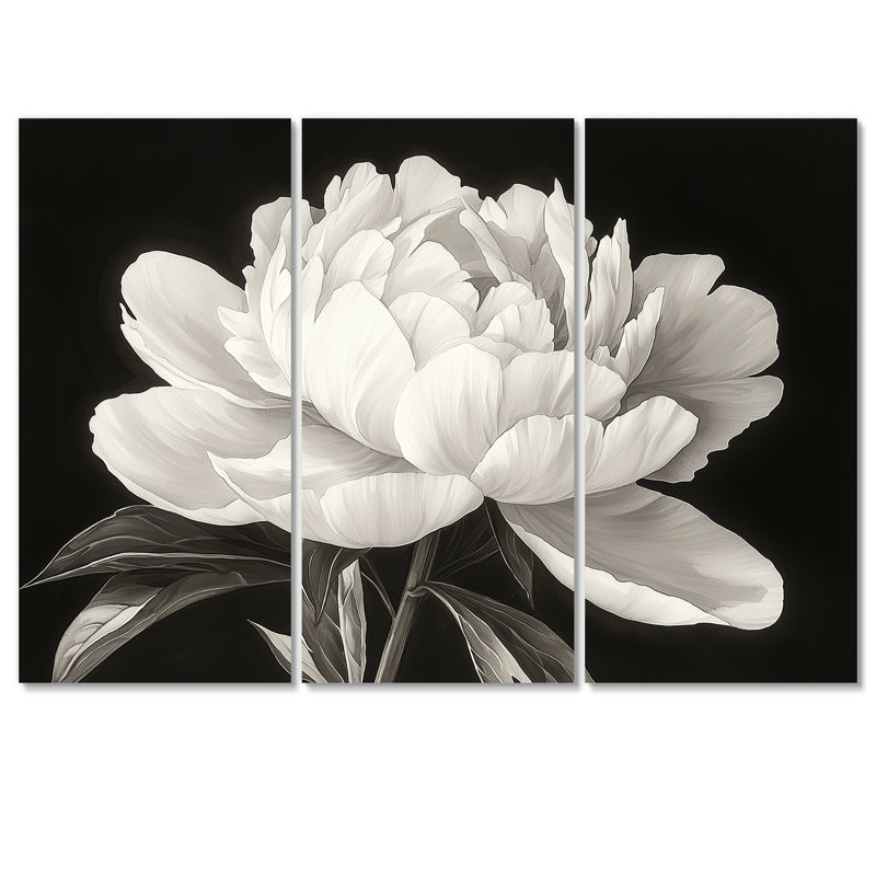 Pivoine blanche et noire élégante II - art mural pivoines - ensemble de 3, H 40 po x l 60 po, Toile tendue, Ne s’applique pas
