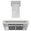 Hotte murale à conduit 36 pouces 700 CFM-88551228