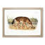 Red Texan Wolf by J.W. Audubon - Picture Frame Painting Print-55772211-55772212