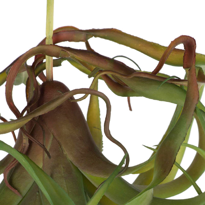 S / 2 plantes araignées artificielles avec finition vert foncé, décor botanique en plastique 12 po x 8 po