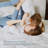 French Flat Sheet With Embroidered Border-100% Stone Washed Flax Bedding-114636367-114636368