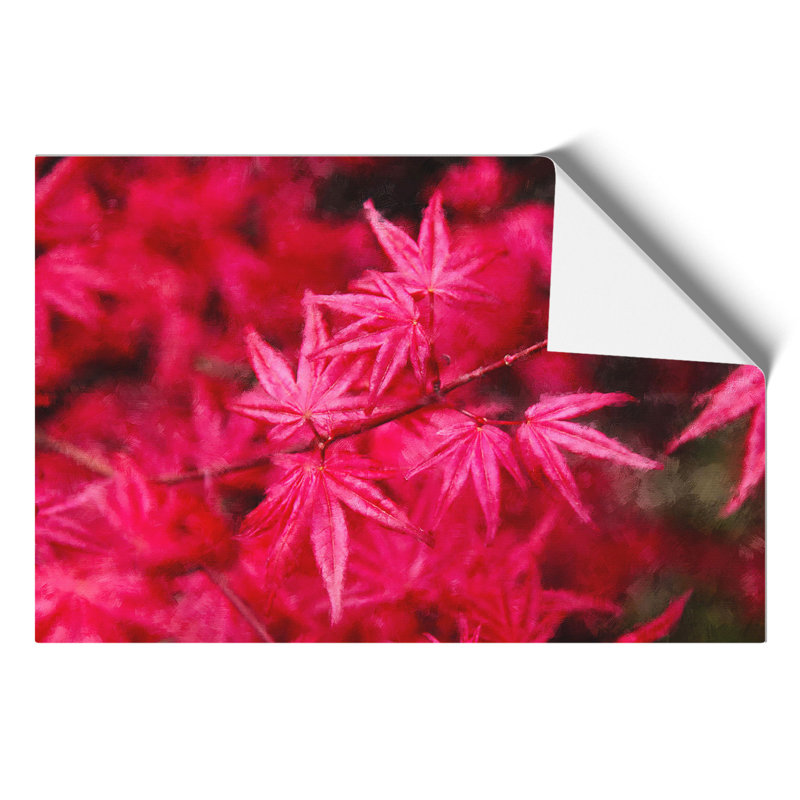 Japanese Maple Tree - No Frame Print, 42cm H x 59cm W x 0.1cm D