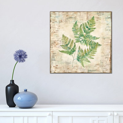 Birch Bark Ferns I by Cynthia Coulter - Wrapped Canvas Print