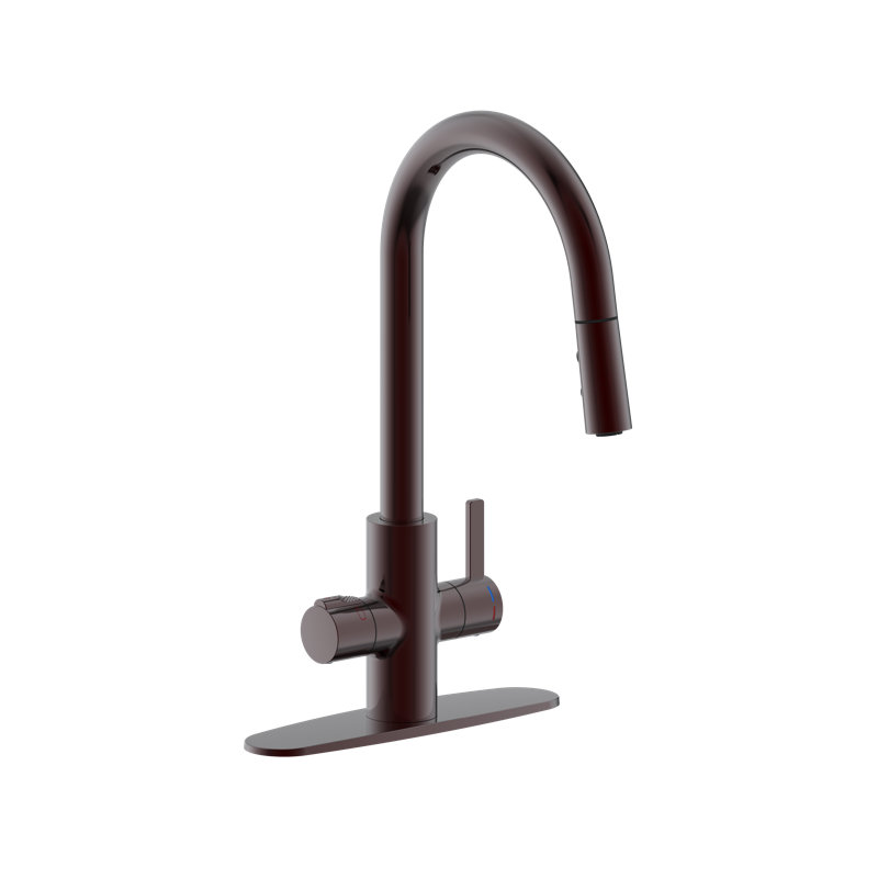 4 in 1 Single Handle Kitchen Faucet with Push Button Dual Spray Mode Pull Down Nozzle Head, Oil Rubbed Bronze