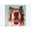 « follow your nez ix », reproduction sur toile-28451195-72455804-72455799