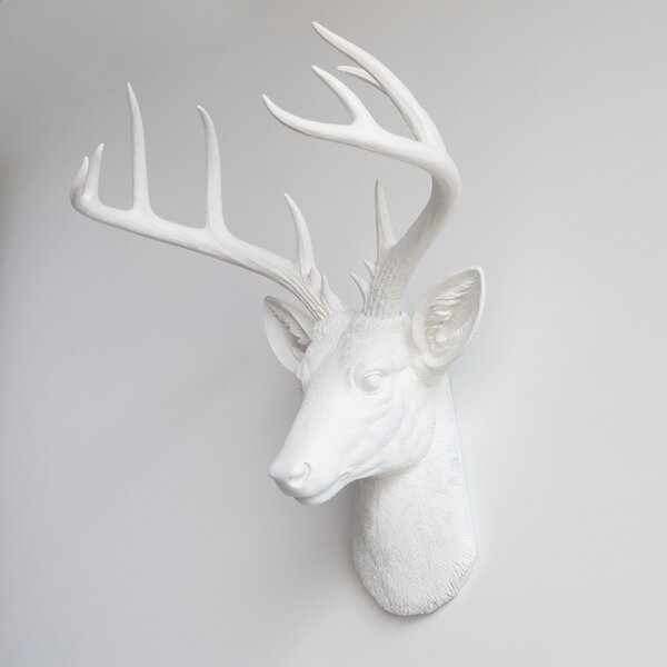 Rustic Hunter Rack Deer Skull Antler Wall Plaque Decor 10 Point Buck  Figurine