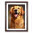 Walnut Framed