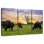 Brampt Grazing Aberdeen Angus
