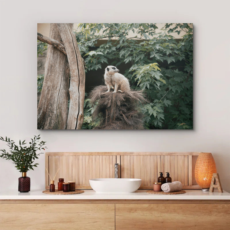 Sitting Meerkat at the Zoo, 12" H x 18" W