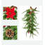 Décoration de Noël de guirlande de décoration murale