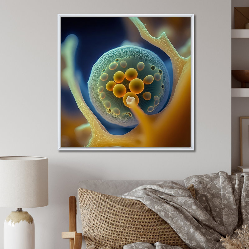 Macro photographie de cellules marines - reproduction, H 30 po x l 30 po x P 1 po, Cadre flottant blanc