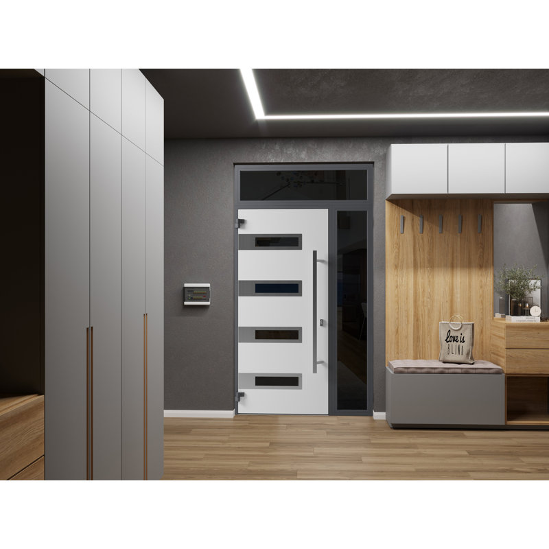 Modern Black Metal Double Door with Sidelites and Tinted Glass