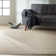 Saail Machine Woven Beige Area Rug